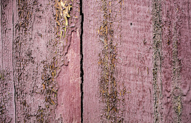 Similar image 13295619