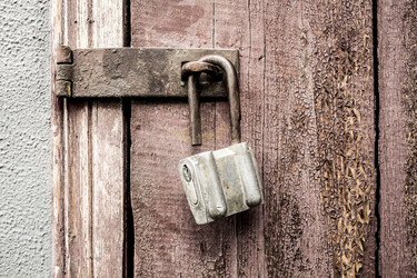 Similar image 13295633