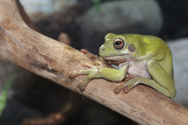 Similar image 13316241