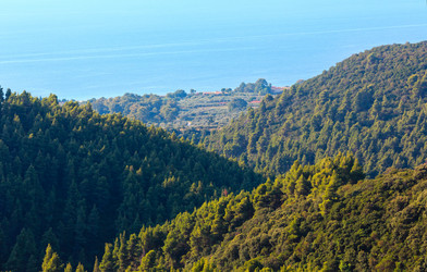 Similar image 13296113