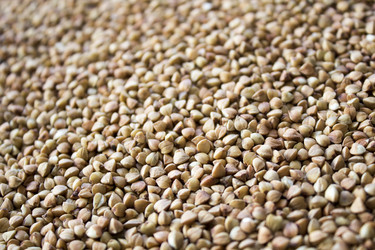 Similar image 13295548