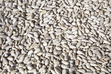 Similar image 13295561