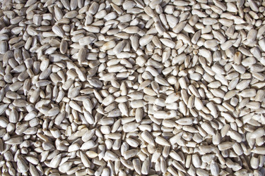 Similar image 13295571