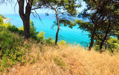 Similar image 13295676