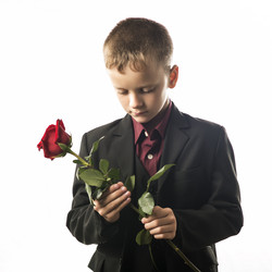 Similar image 13294579