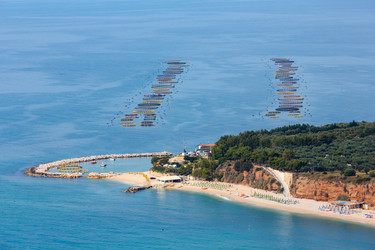 Similar image 13296120