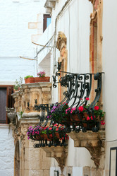 Similar image 13296135