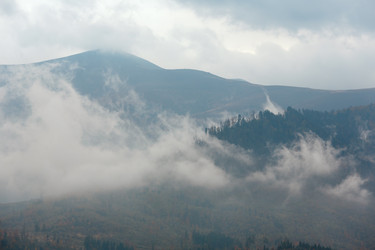 Similar image 13295715