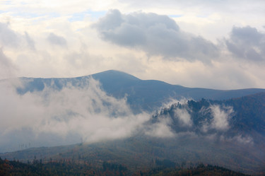 Similar image 13295737