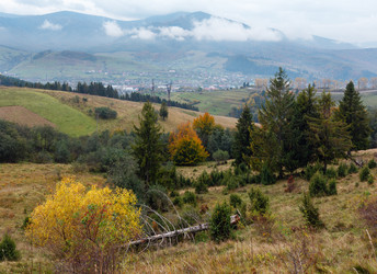 Similar image 13295738