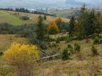 Similar image 13295739