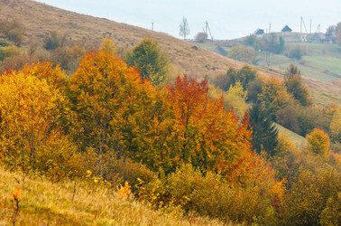 Similar image 13295748