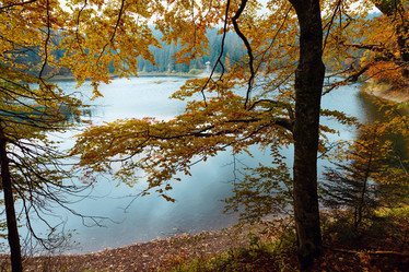 Similar image 13296145