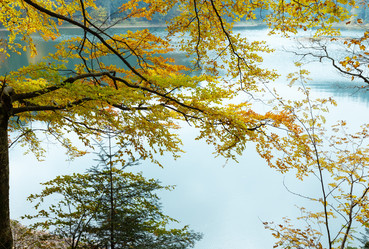 Similar image 13296146