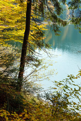 Similar image 13296155