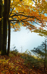 Similar image 13295656