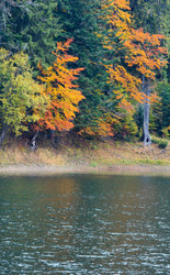 Similar image 13295661