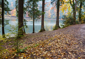 Similar image 13296122