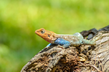 Similar image 13294691