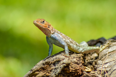 Similar image 13294692