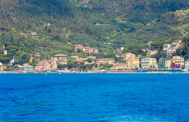 Similar image 13295663