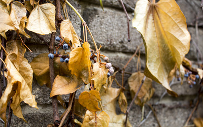 Similar image 13295722