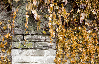 Similar image 13311012