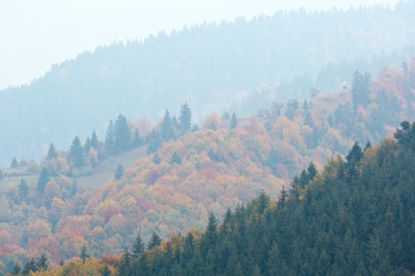 Similar image 13295788