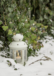 Similar image 13295482