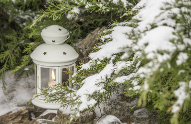 Similar image 13295486