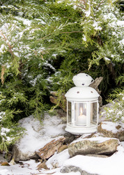 Similar image 13295489