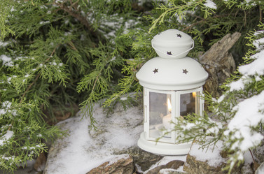 Similar image 13295490