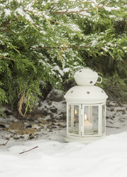 Similar image 13295491