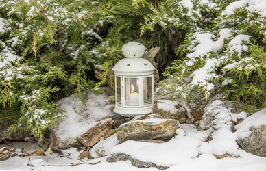 Similar image 13295492