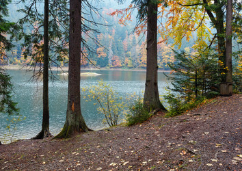 Similar image 13295630