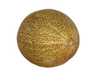 Similar image 13294556