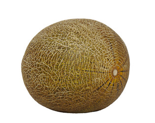 Similar image 13294561