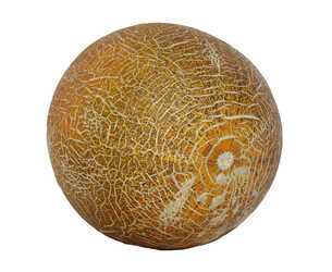 Similar image 13294563