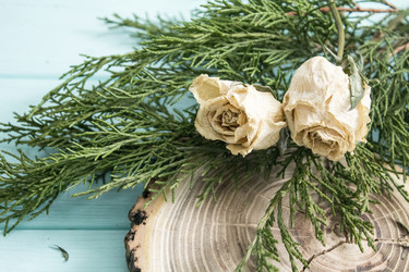 Similar image 13311048