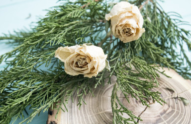 Similar image 13311049