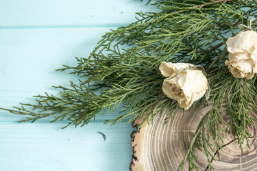 Similar image 13311050