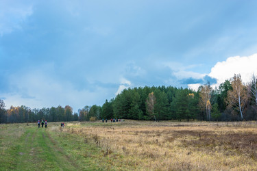 Similar image 13316499