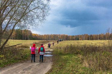 Similar image 13316500