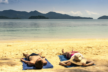 Similar image 13323251