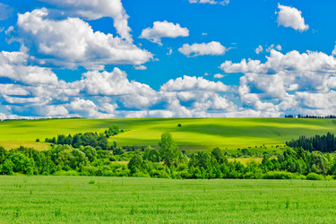 Similar image 13315615