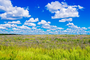 Similar image 13315639