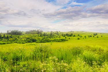 Similar image 13315645