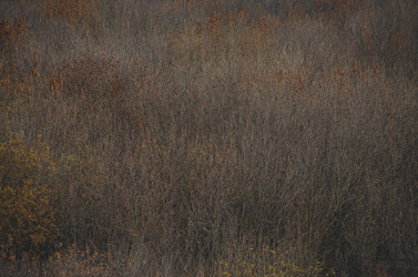 Similar image 13294292