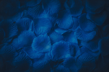 Similar image 13294310