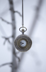 Similar image 13311039